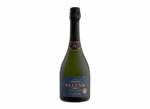 Espumante Blanc de Blanc Nature Don Bonifácio Selena 750 ml